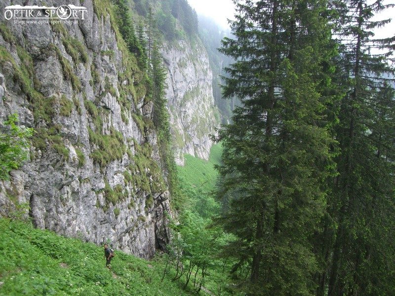 Steil aufwaerts zur Kanisfluh