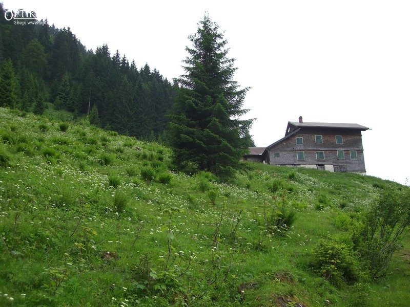 Steiler Aufstieg zur Hofstetten aber toll