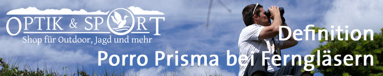 Definition Porro Prisma