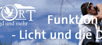 Augenfunktion