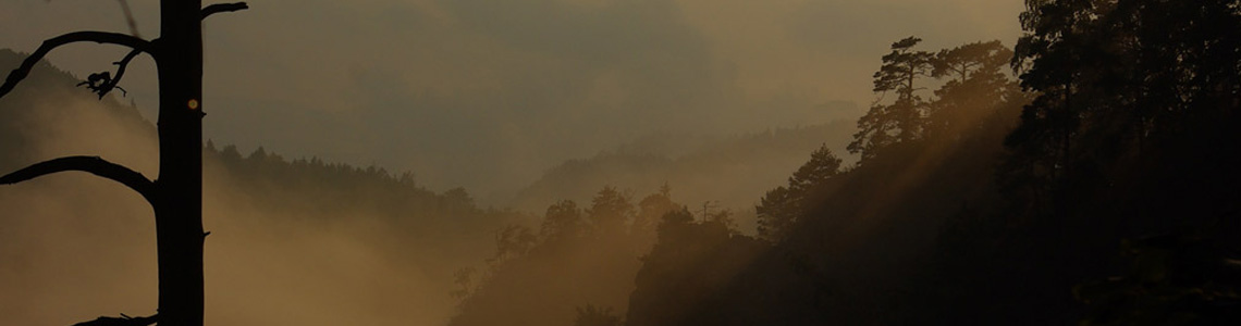 Prismáticos crepusculares