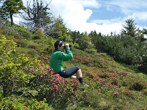 Fernglas im DDoptics Online Shop