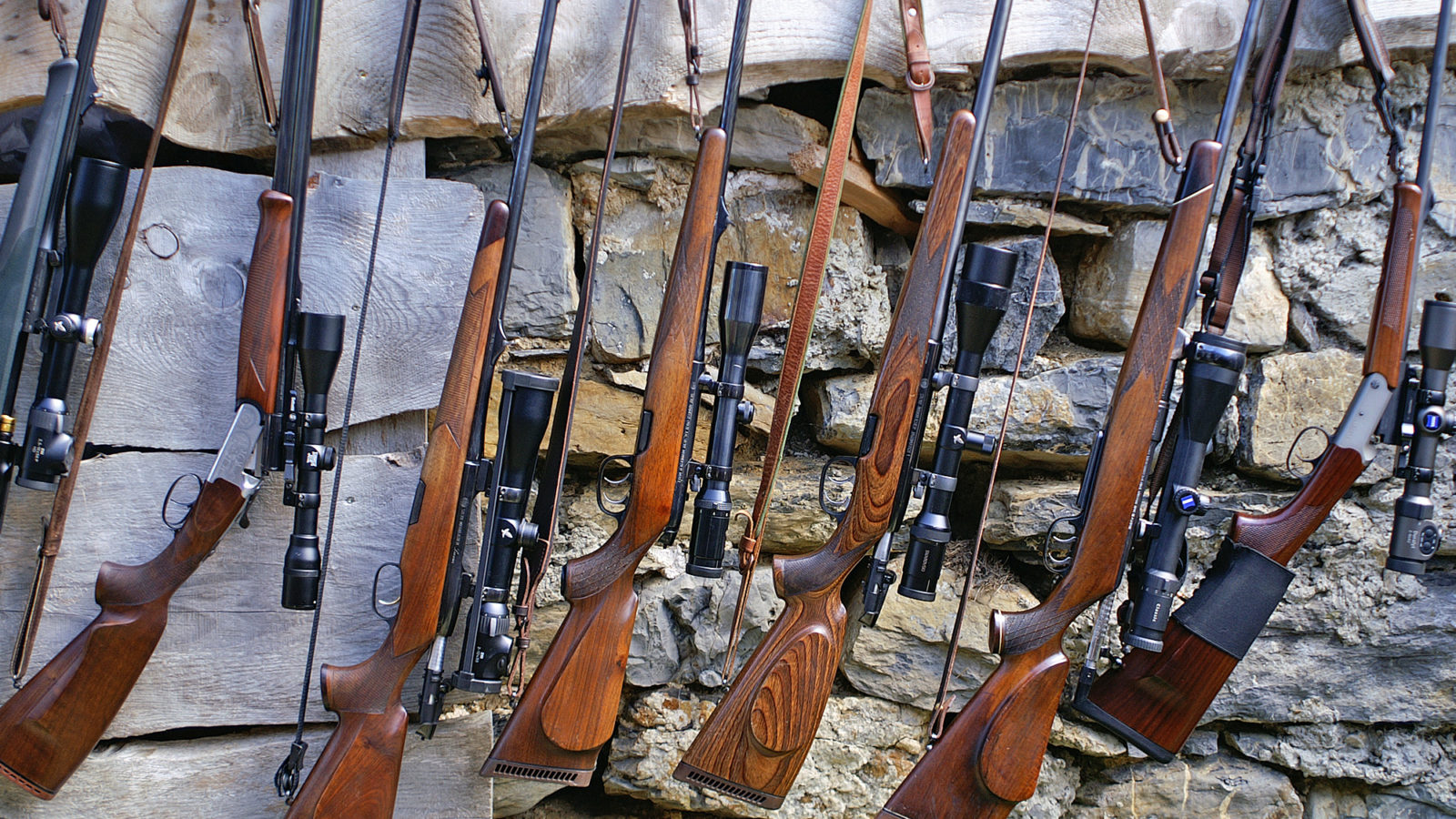 Rifle Scope