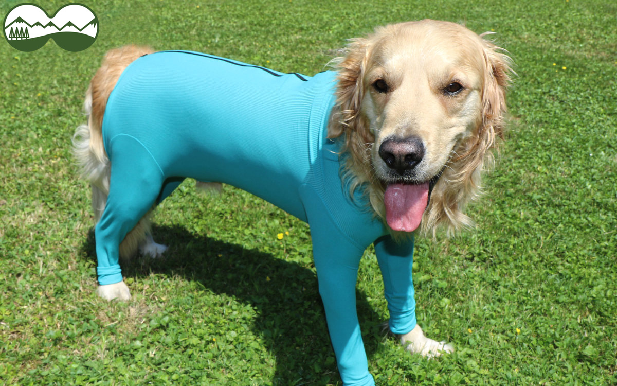 VetMedCare Hund Body mit Reißverschluss - ideal Jagdhund