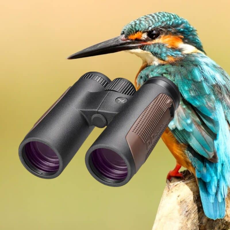 DDoptics NXT 8x42 Fernglas Farbtiefe